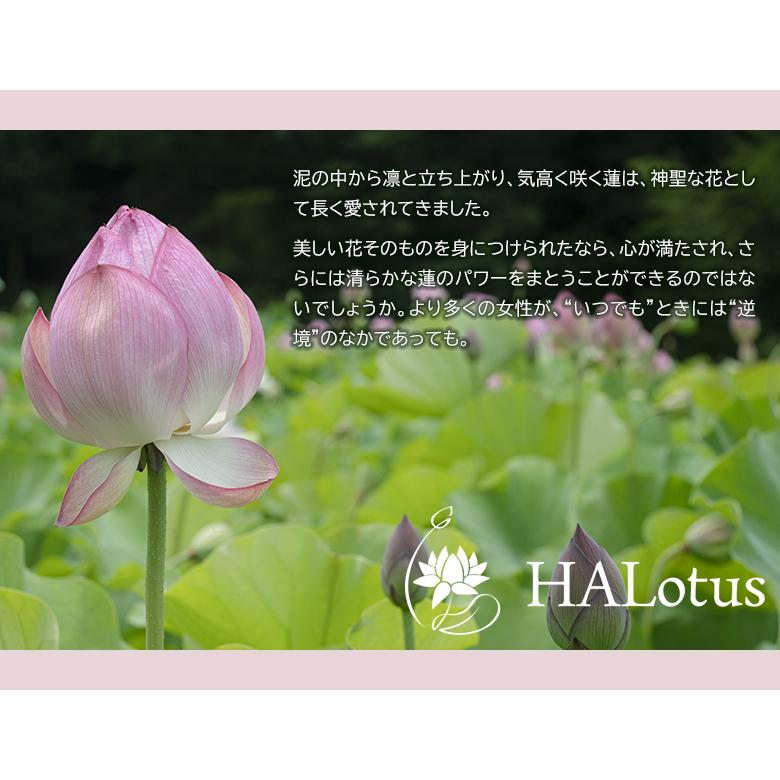 本物の蓮の花 蓮の花びら入りイヤリング・ピアス 天然石風 大人可愛い 
