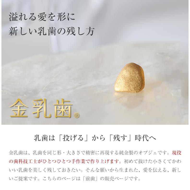 三金　乳歯冠(上下乳臼歯) サイズいろいろ　計303個 61+LcJyDiYL._UF350,350_QL50_.jpg