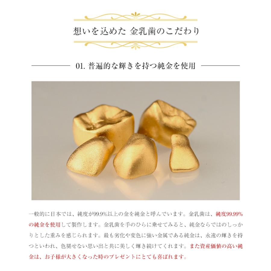 YASHIO GOLD 金乳歯(前歯) 金乳歯作製 乳歯ケース 乳歯入れ YASHIO GOLD 金乳歯(前歯) 金乳歯作製 乳歯ケース 乳歯入れ