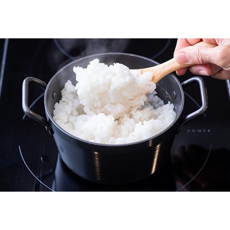 松田美智子の自在道具 鉄の小さなごはん鍋 大 2合 時短 土鍋 ご飯 炊飯