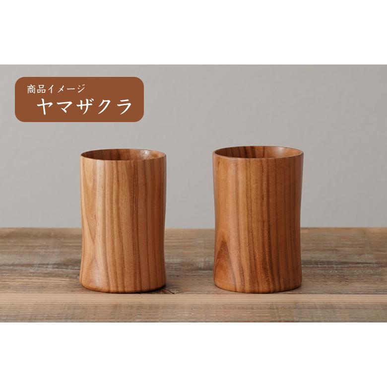 燻製香り付けキット付きKAJI 燻製コップ2個セット 化粧箱付き スモーク