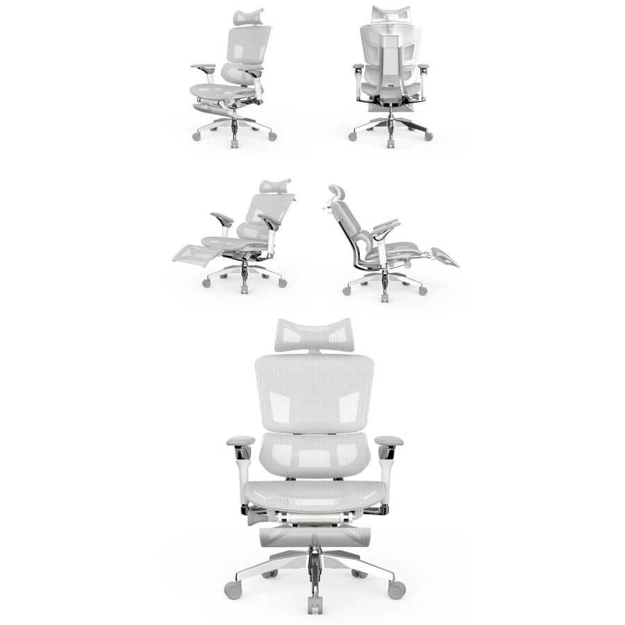 Rasical Chair Elite ラシカルチェア エリート ホワイトグレー 
