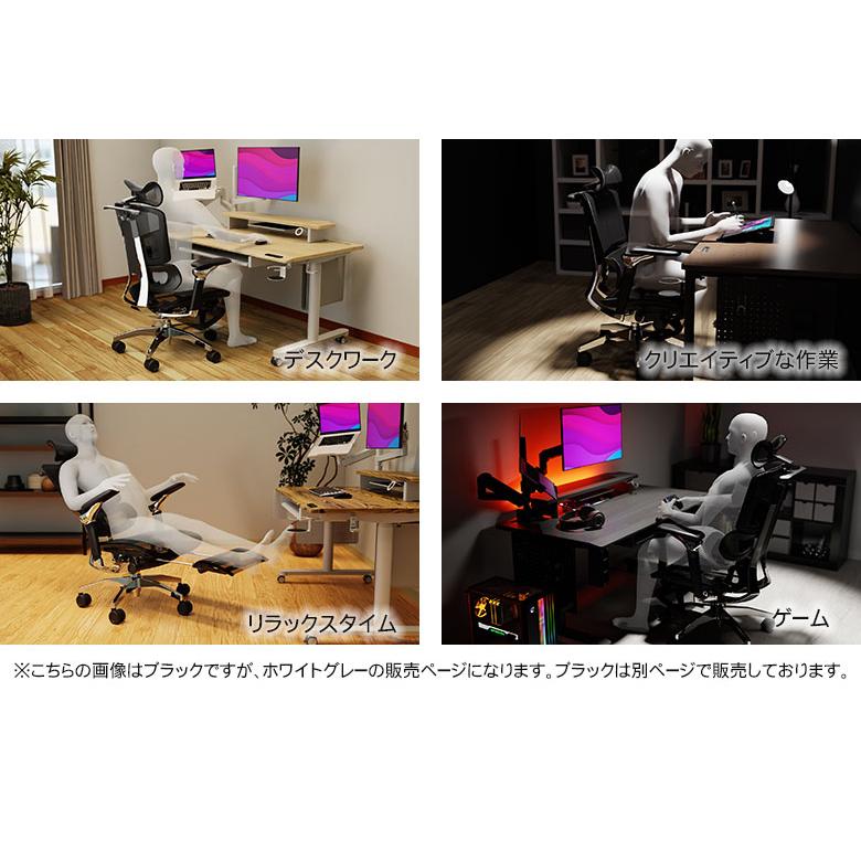 Rasical Chair Elite ラシカルチェア エリート ホワイトグレー 