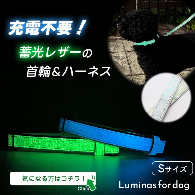 Luminas 蓄光レザー 犬用首輪＆ハーネス Mサイズ fordog いぬ 光る