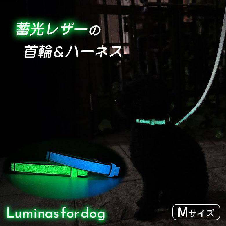Luminas 蓄光レザー 犬用首輪＆ハーネス Mサイズ fordog いぬ 光る