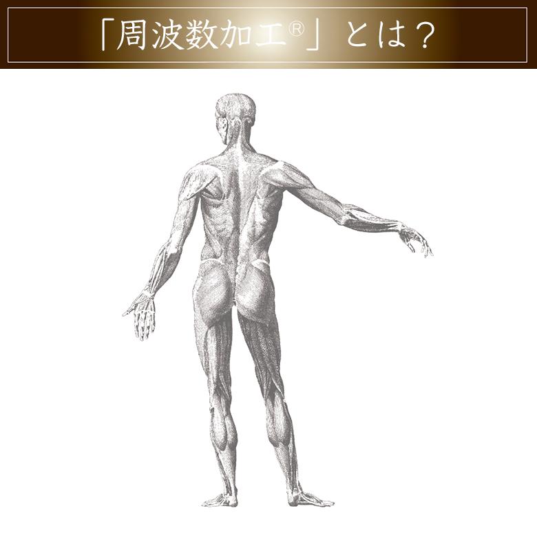 DisMoi Perla ペルラ 電導美顔器 周波数加工 美顔器 美顔ローラー 24K