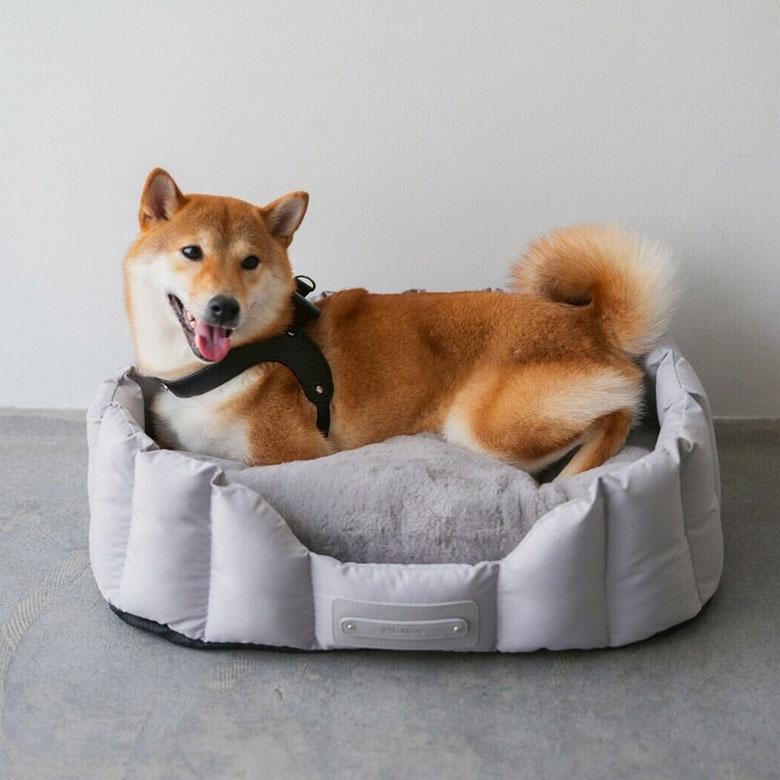 FuFu ファーリーHOMEベッド Milla Noue ミラヌー 犬用ベッド 犬用
