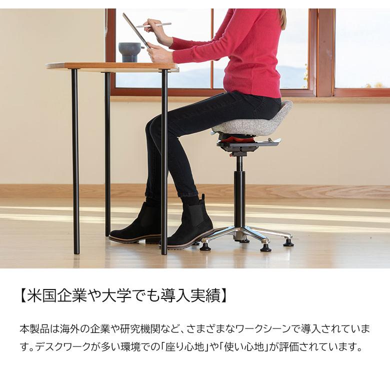 QOR360 Ariel2.0 アリエル バランスチェア イス 椅子 アクティブ
