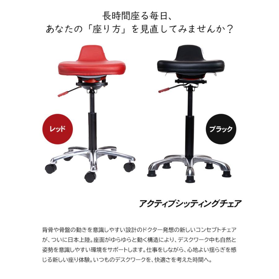 QOR360 Ariel2.0 アリエル バランスチェア イス 椅子 ドクターオスラー