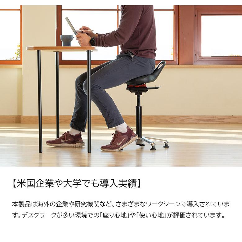 QOR360 Ariel2.0 アリエル バランスチェア イス 椅子 ドクターオスラー