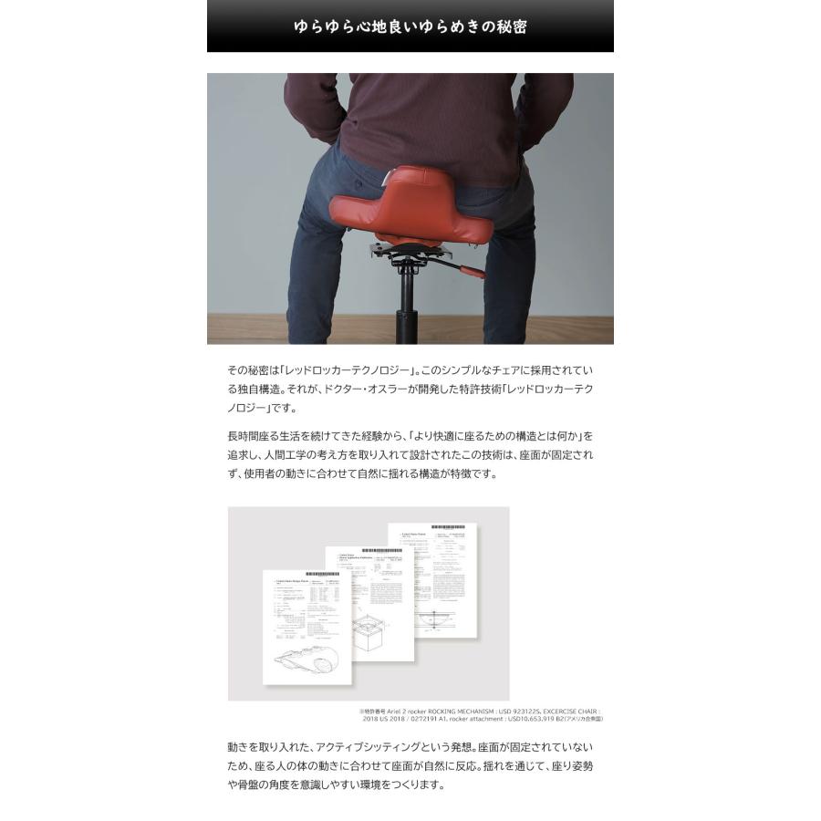 QOR360 Ariel2.0 アリエル バランスチェア イス 椅子 ドクターオスラー