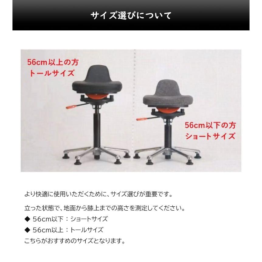 QOR360 Ariel2.0 アリエル バランスチェア イス 椅子 ドクターオスラー