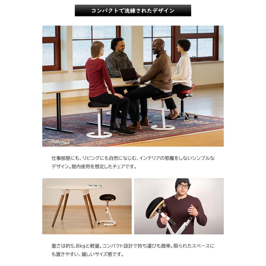 RED ROCK レッドロック バランスチェア インテリア 椅子 イス いす