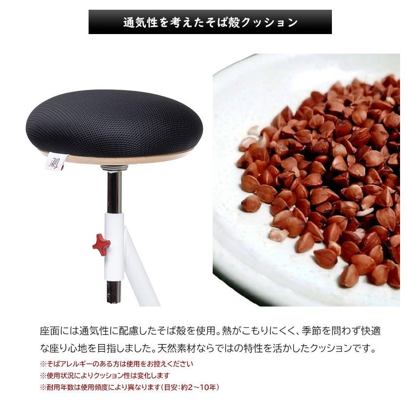 RED ROCK レッドロック バランスチェア インテリア 椅子 イス いす