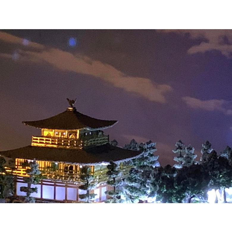 精密情景ジオラマ 世界遺産 鹿苑寺金閣 USB電源LED照明 アクリルケース付き 金閣寺 ジオラマ模型 当店限定オリジナル 完成品 鹿苑寺金閣 模型