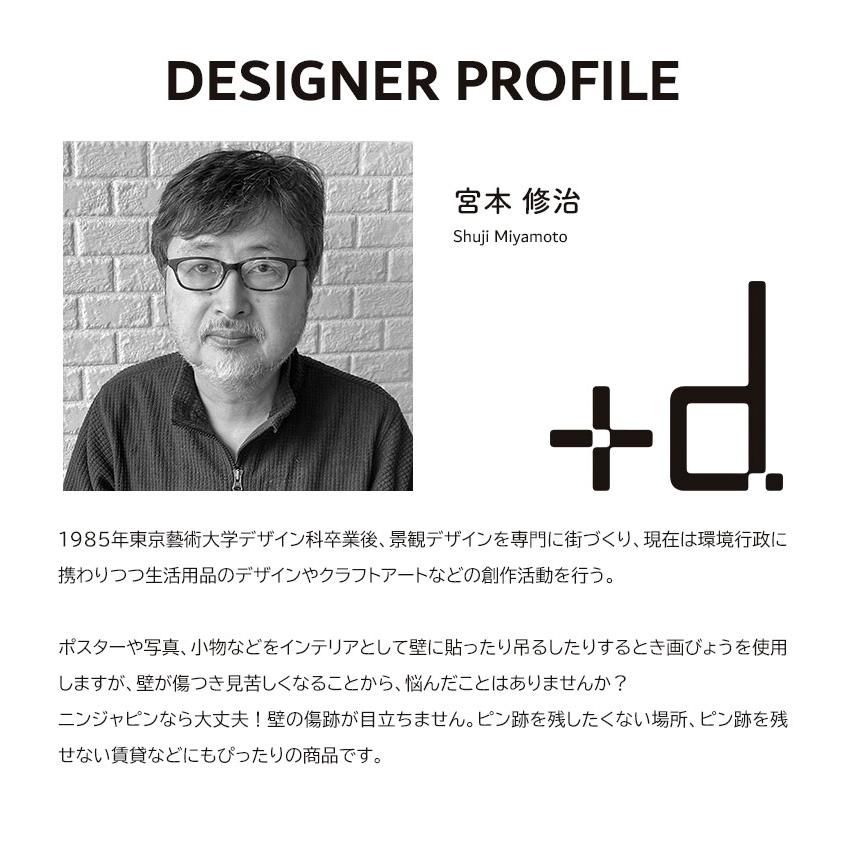 ニンジャピン 12本入り 画鋲・押しピン 忍者ピン +d アッシュ
