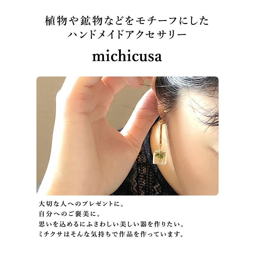 本物の野草や野菜を使ったイヤリングmichicusa ミチクサアクセサリー