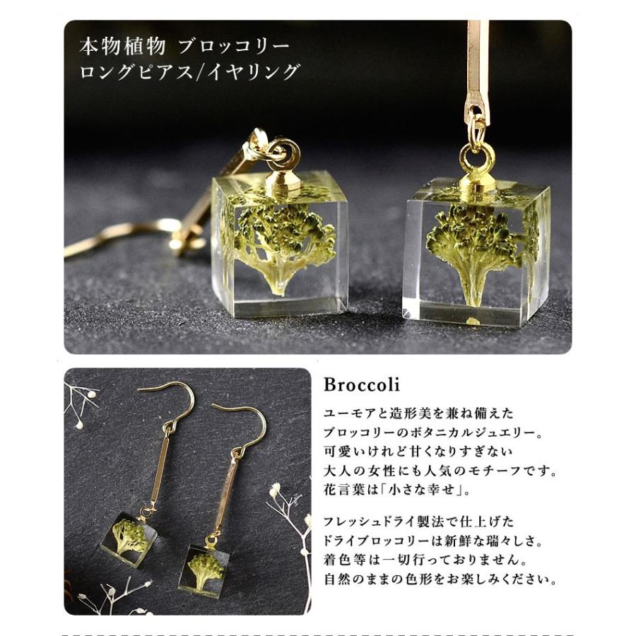 本物の野草や野菜を使ったイヤリングmichicusa ミチクサアクセサリー