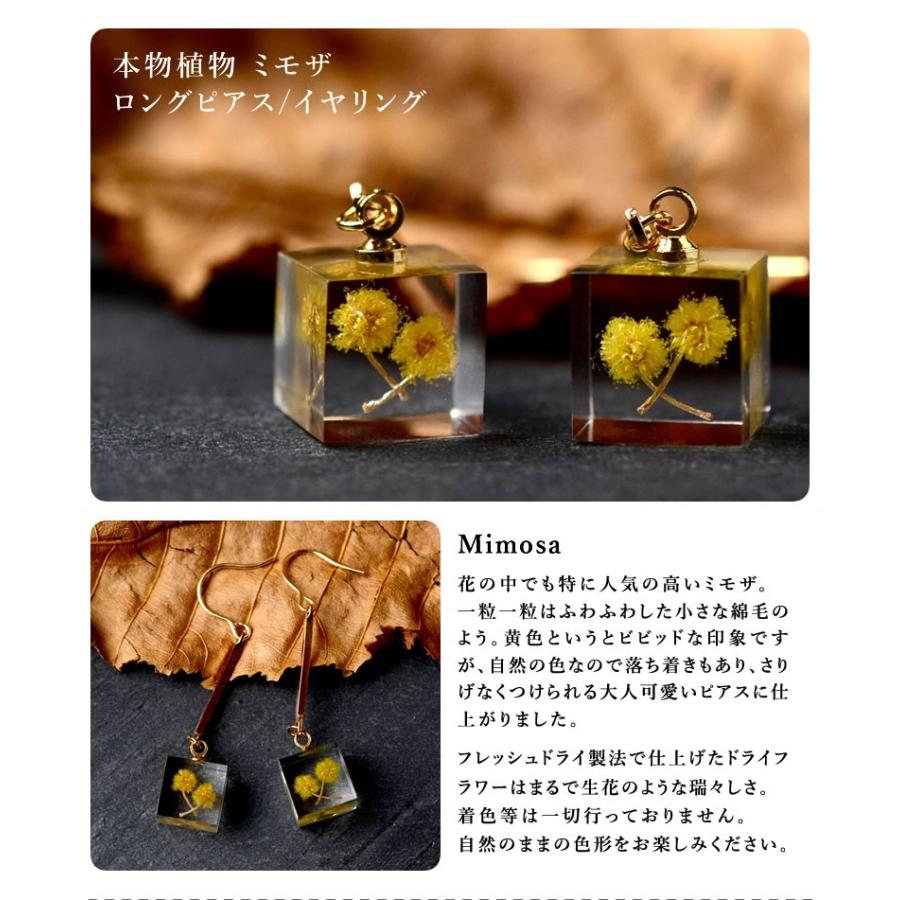 本物の野草や野菜を使ったイヤリングmichicusa ミチクサアクセサリー レジン ハンドメイド フレッシュドライ製法 野菜 植物 花 送料無料｜offer1999｜04