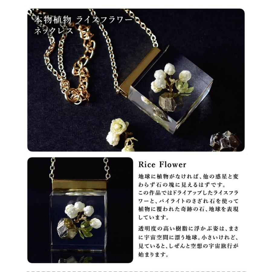 本物の野草や野菜を使ったネックレスmichicusa ミチクサアクセサリー