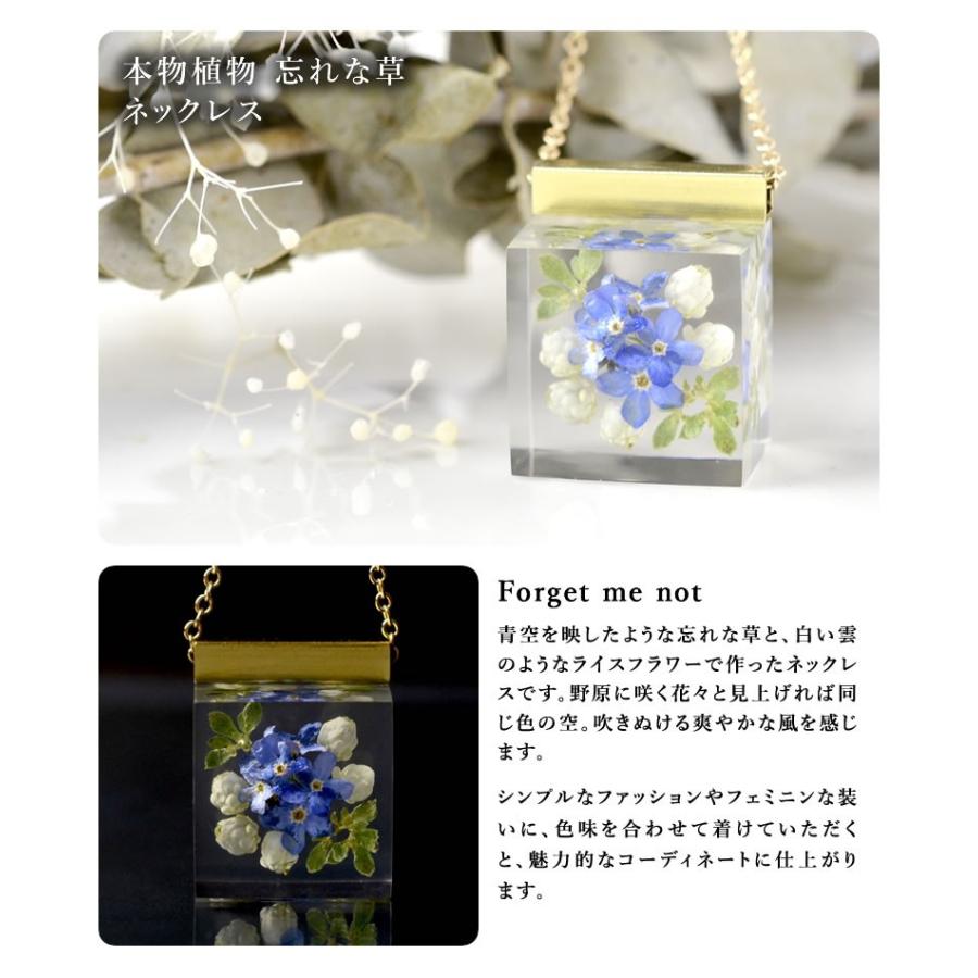 本物の野草や野菜を使ったネックレスmichicusa ミチクサアクセサリー