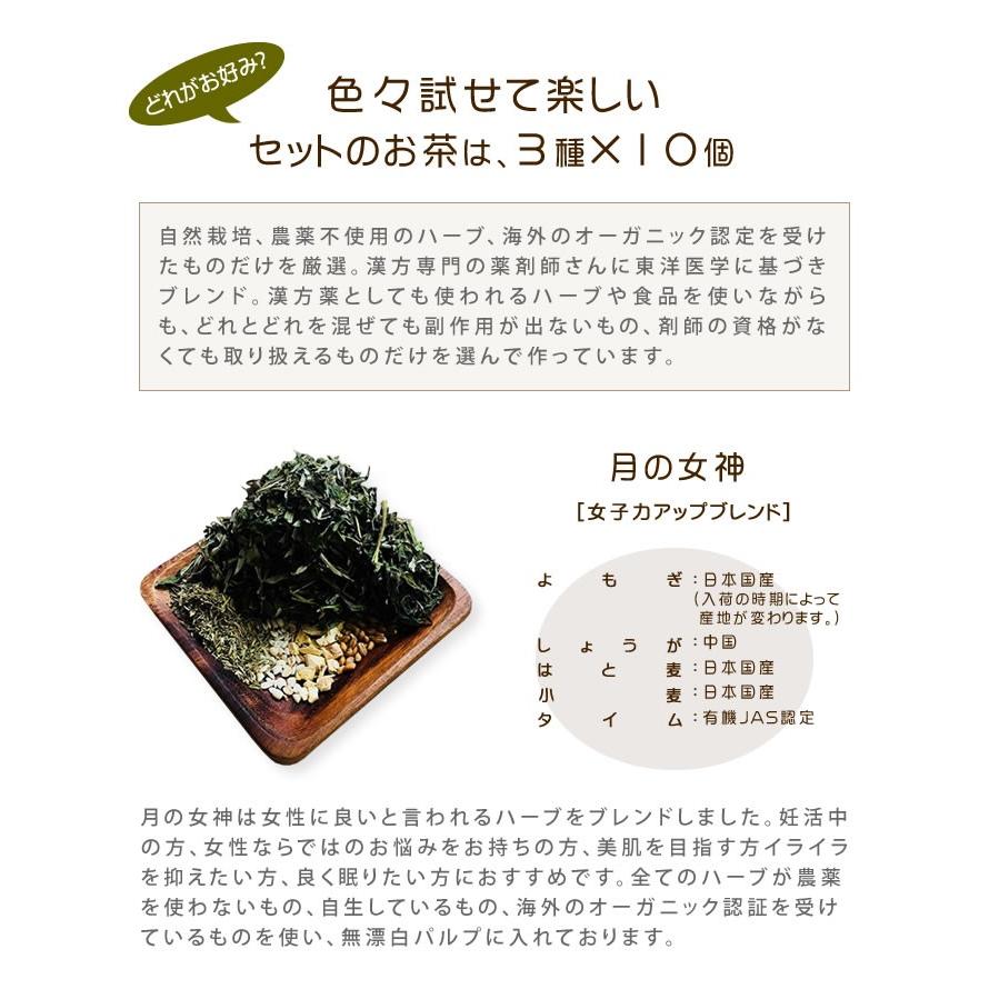 家庭用スチームサウナにも 男蒸し よもぎ蒸しセット よもぎ蒸し サロン凛オリジナル届いたその日から自宅でよもぎ蒸しリラクゼーション Iso1007 想いを繋ぐ百貨店 Tsunagu 通販 Yahoo ショッピング