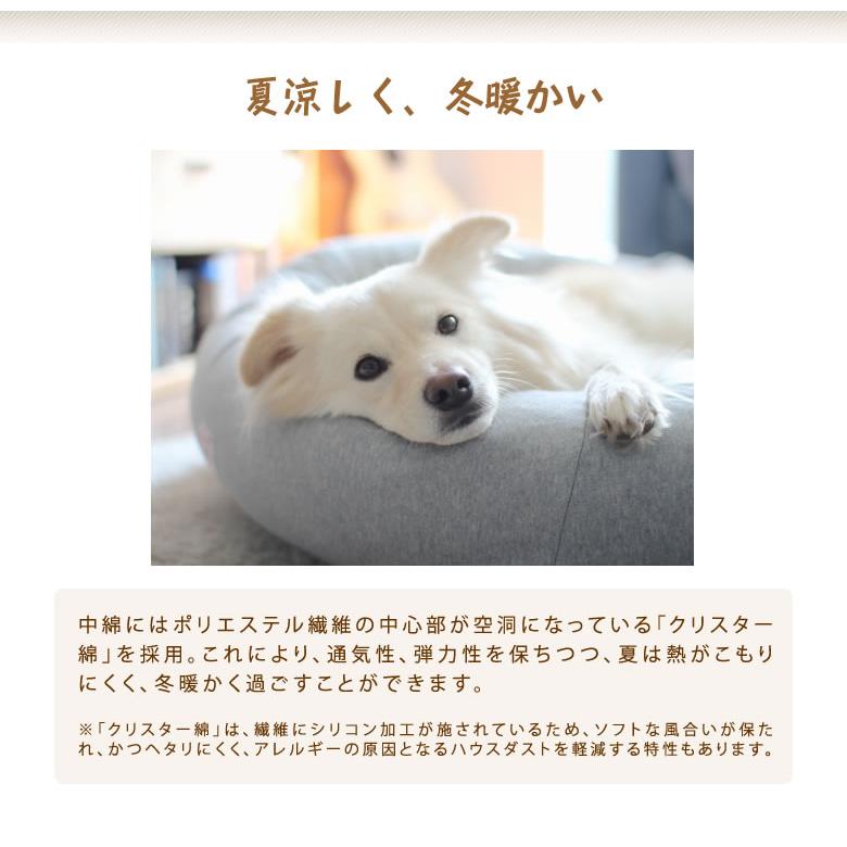 オーガニックコットン犬用ベッドMサイズ 丈夫で長持ちデロリアンズ