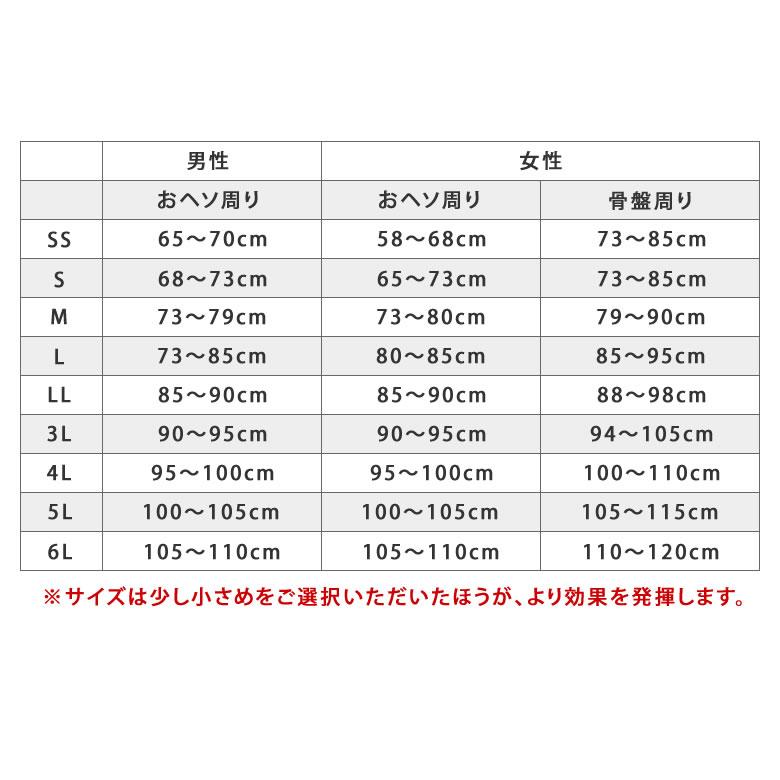 ワーキングパワースーツ ボディ本体+歩行サポーターセット 重い物を