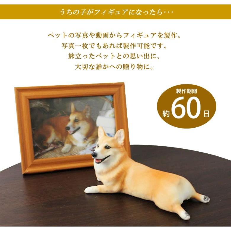 オーダーメイド フィギュア作成 Sサイズ Cocoro ご納得できるまで無料で修正対応 ペット ペットフィギュア 3d造形 人形 犬 猫 鳥 ハムスター うさぎ 送料無料 Iso19 想いを繋ぐ百貨店 Tsunagu 通販 Yahoo ショッピング
