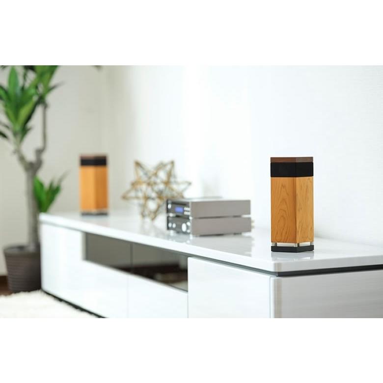 現品発送 リグノオーディオ LIGNOaudio SP-50SS パッシブスピーカー 最高級木材 ヒノキ 檜 針葉樹 LIGNOTEX無垢材 リグノテックス 超硬質リフレクタ 高級感 送料無料 【H3639572977】(130680円)