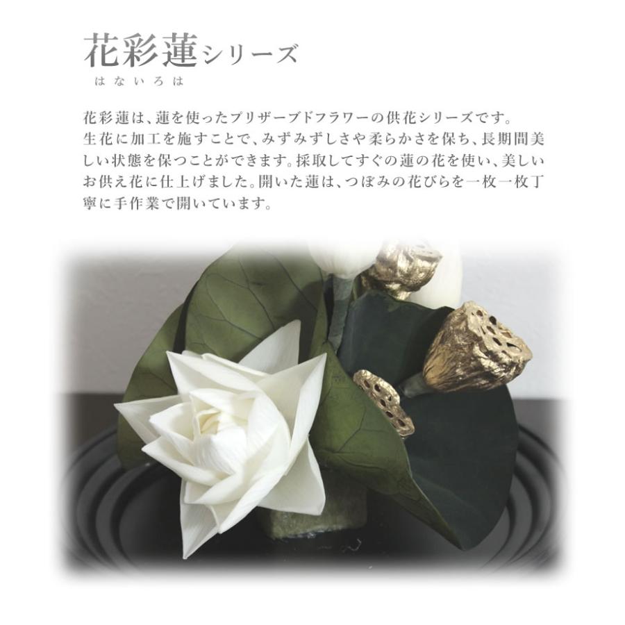 花彩蓮（はないろは）円想 Sサイズ アトリエ・モノ HANAIROHA 仏壇
