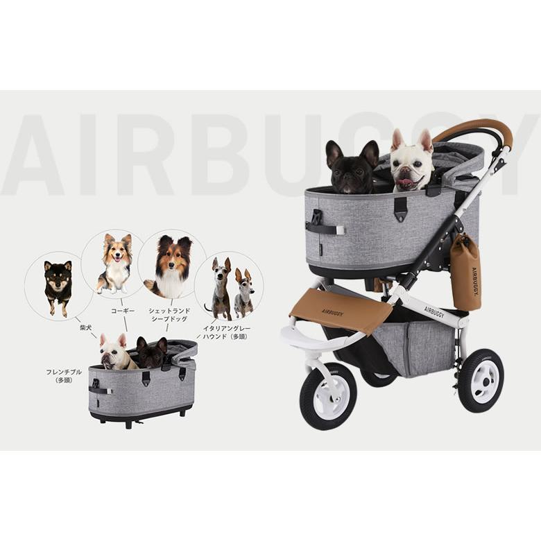 特典付き AIRBUGGY DOME3 ラージ SET エアバギー ドーム コット 特典付き AIRBUGGY DOME3 ラージ SET エアバギー ドーム コット