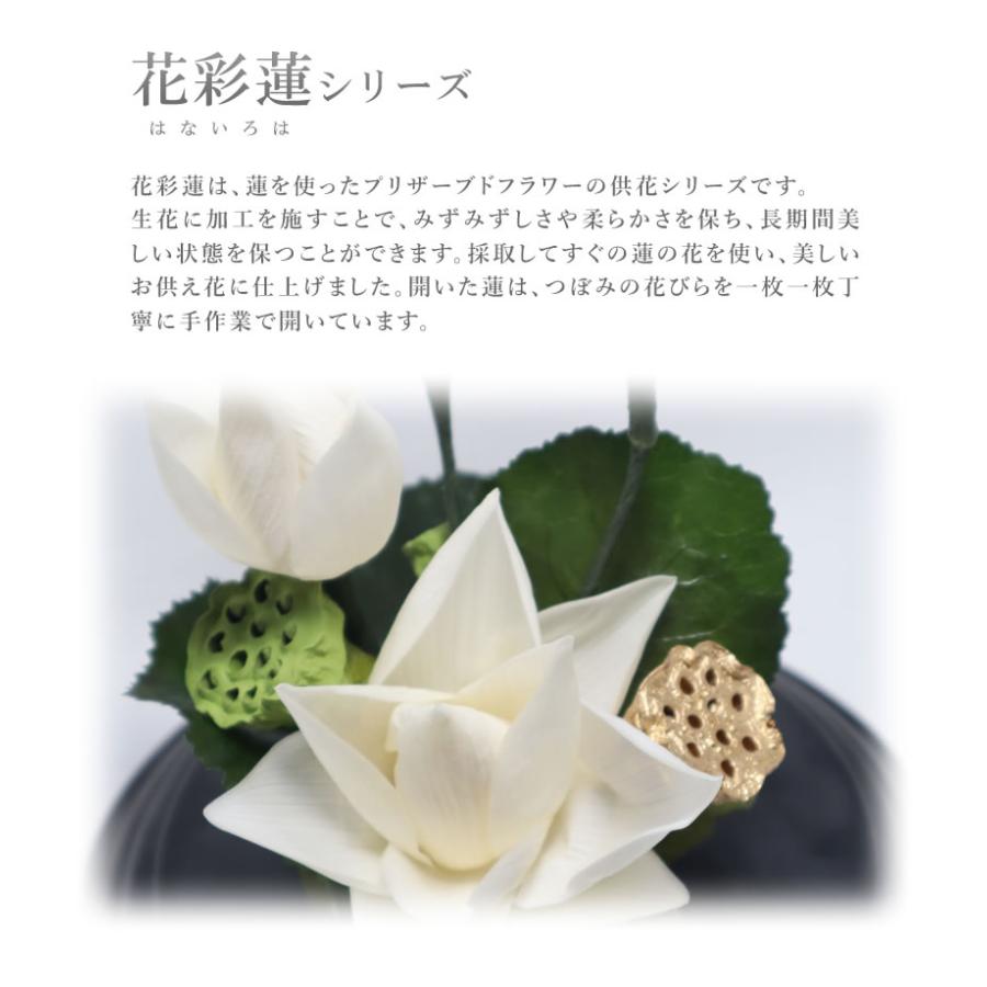 花彩蓮（はないろは）円想 SSサイズ アトリエ・モノ HANAIROHA 仏壇
