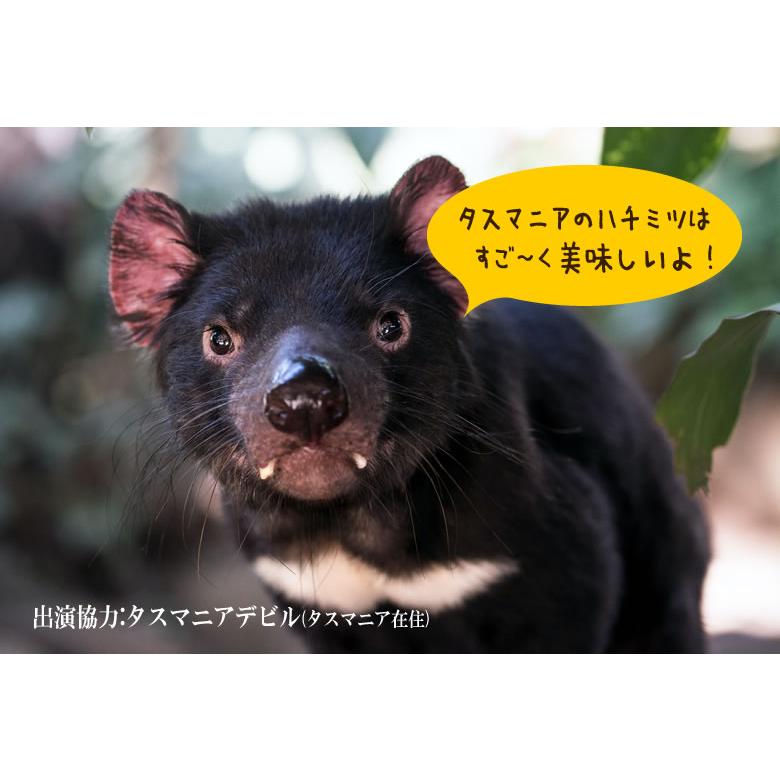 レザーウッドハニー リンズィさんのレザーウッドハニー 500g ハチミツ