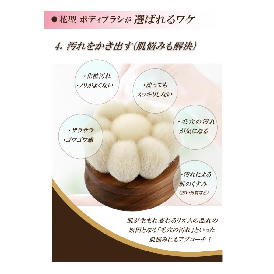 晃祐堂 熊野筆 花型ボディブラシ 柄無し/箱入り 日本製 KOYUDO 洗顔 顔 
