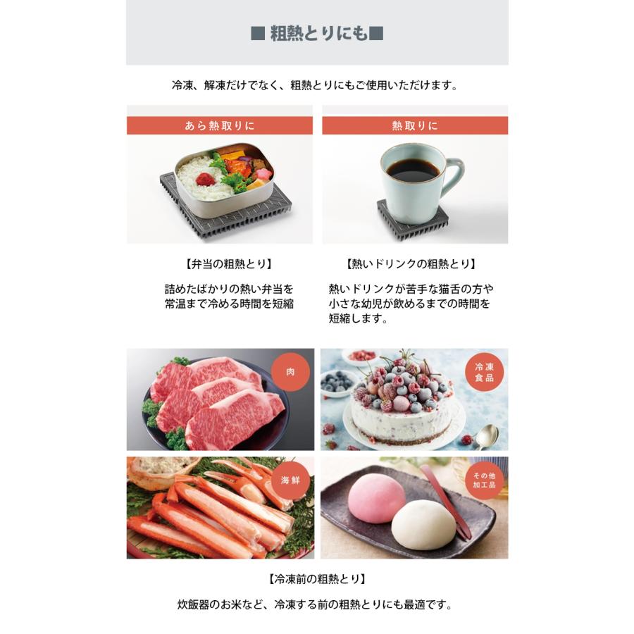 挟んで使う解凍プレート 2枚セット OMRIQ PLATE オムリックプレート