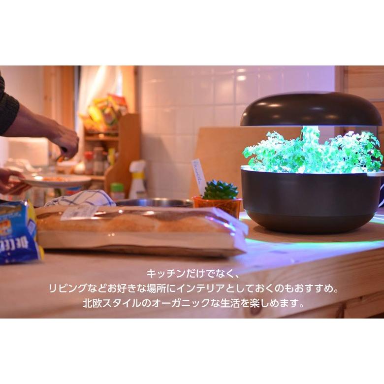 自動水循環システム搭載 水耕栽培キット Plantui 6 スターターセット