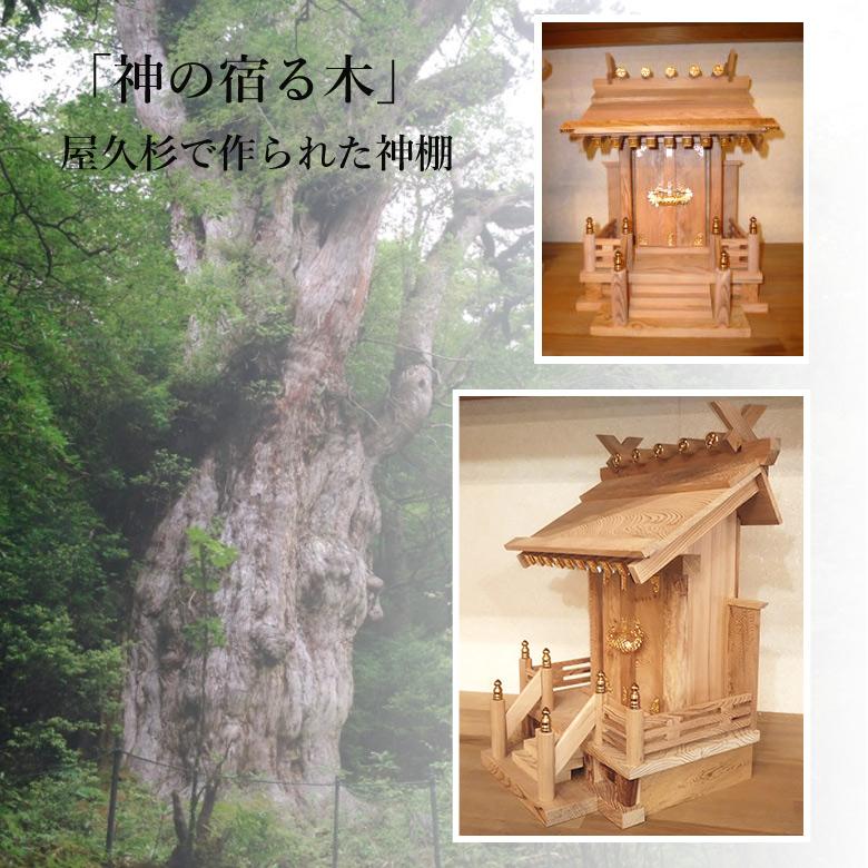 屋久杉の神棚 真鍮飾り金具あり モダン シンプル 壁掛け 一社 工芸品