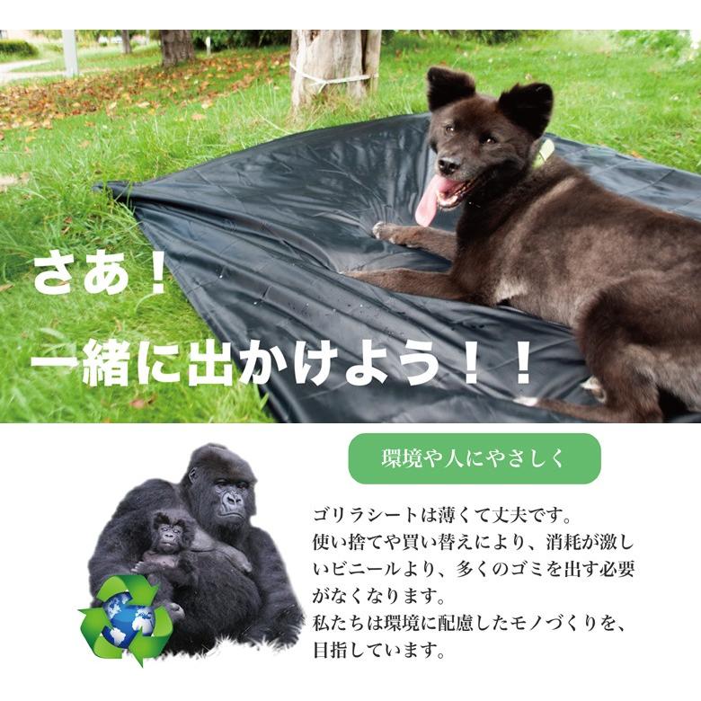 ゴリラシート レジャーシート 折り畳み コンパクト ポケットサイズ 撥