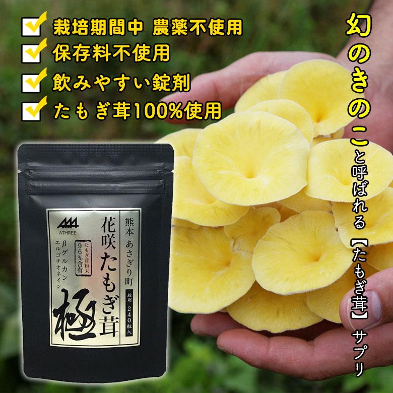 花咲たもぎ茸 錠剤 極 -kiwami- タモギタケ エルゴチオネイン たもぎ茸