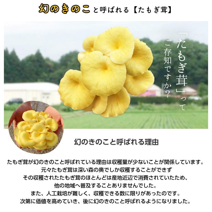 あさぎりたもぎ 錠剤 極 -kiwami- タモギタケ エルゴチオネイン たもぎ