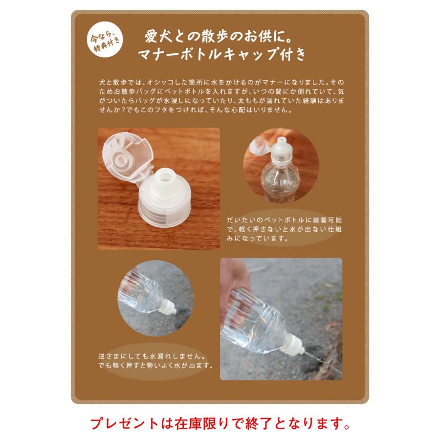 おでかけ帆布バッグPLUS デロリアンズ DeLoreans 穴澤 賢プロデュース