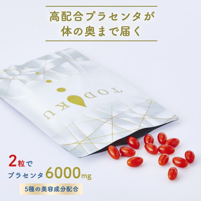 値下げしました‼️高濃度馬プラセンタ(約２カ月分)×２個セット 高濃度馬プラセンタ TODOKU サプリ プラセンタ しっかり届く 高濃度 馬