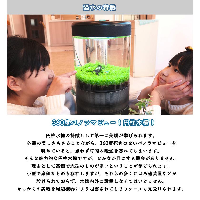 溢水 いっすい専用ライトユニット付スターターセット オーバーフロー