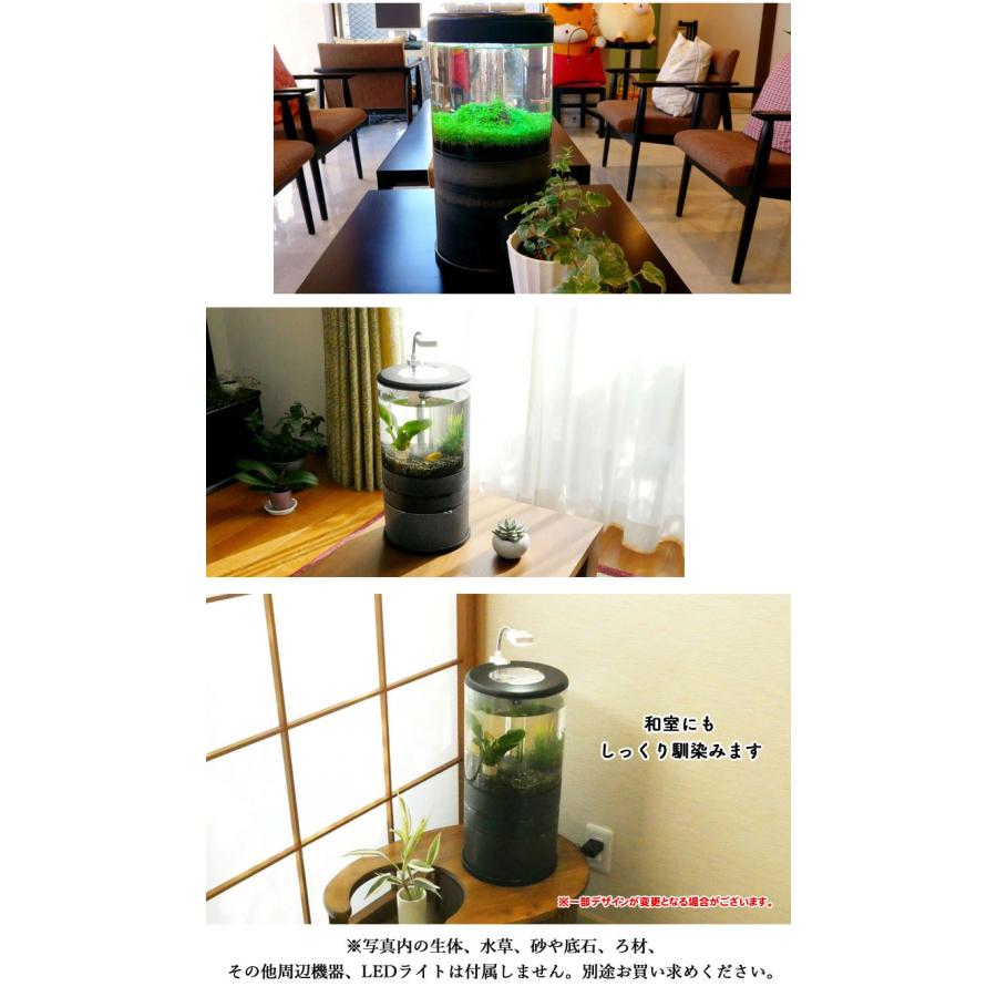 再値下げ！ オーバーフロー 小型円柱水槽 溢水 LED専用照明付き フルセット 楽天市場】溢水 いっすい【専用ライトユニット付】スターター