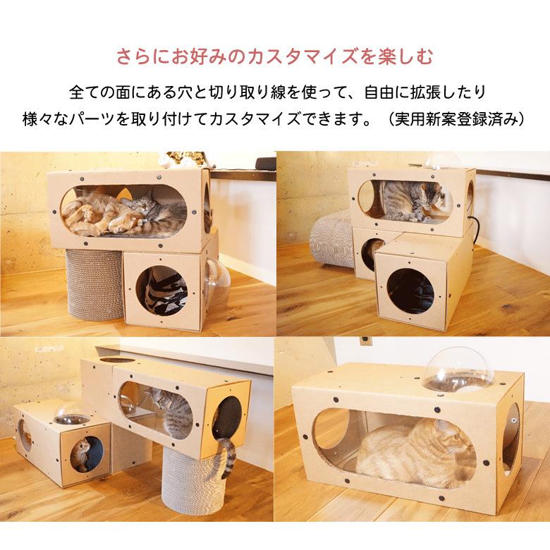 CATMODULE キャットモジュール Dセット 猫 ネコ ねこ ダンボール キャットハウス ドーム 家 ハウス おうち 組み立て 簡単 習性｜offer1999｜08