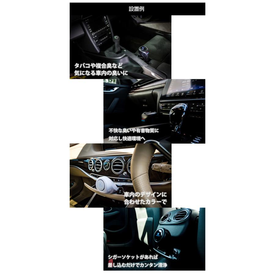 AFL CAR SANIFIER 車載用 車用 超小型空気清浄機 カビ PM2.5 花粉
