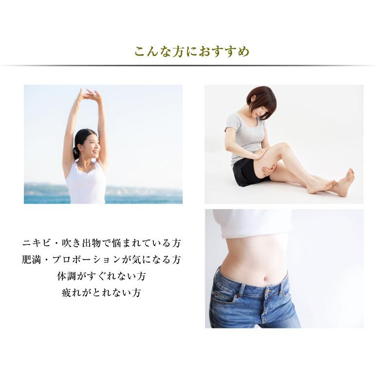 日本製 サウナフルセット お家で誰でも簡単 ホームサウナSPA サウナ