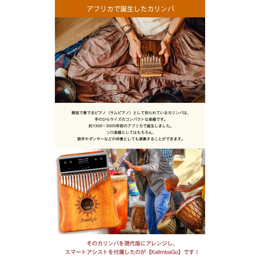 ★美品★KalimbaGo カリンバGO KalimbaGo カリンバゴー カリンバ アフリカ サムピアノ コンパクト