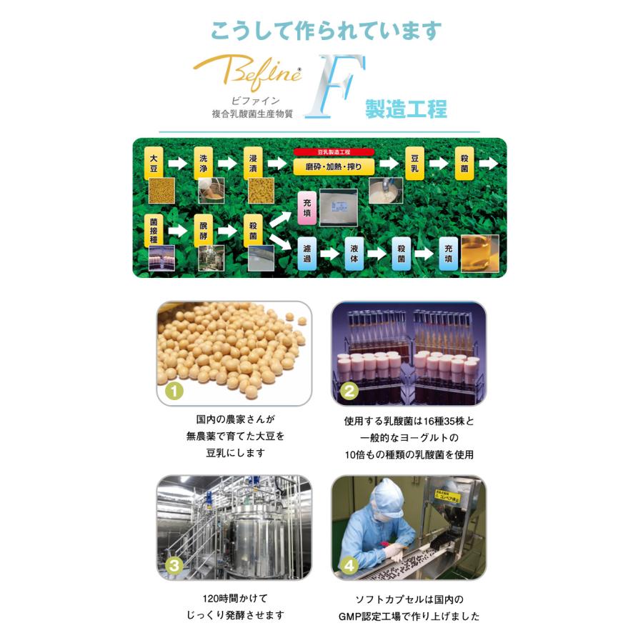 明日を守るチカラを育てる♪ バイオジェニクス 善玉菌パワー 食物繊維 オメガ9 ビタミン バランスを取り戻す乳酸菌生産物質 ビファインF お試し10錠｜offer1999｜07